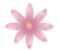38_花.bmp