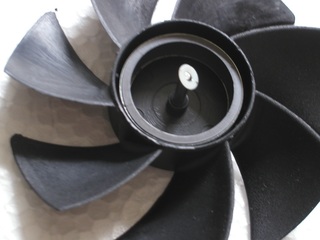 009.JPG