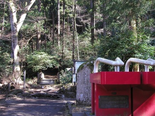062.JPG