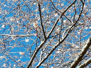 IMG_20190127_135312.jpg