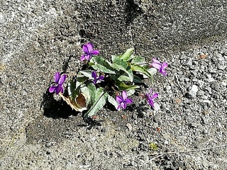 IMG_20190324_134706.jpg