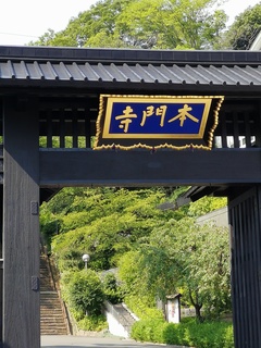 IMG_20190725_145817.jpg