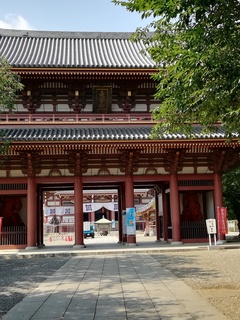 IMG_20190725_150126.jpg