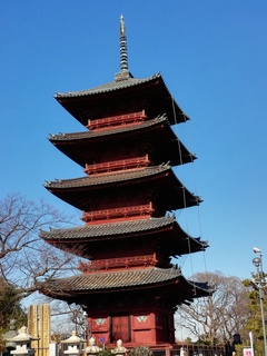 IMG_20200103_120523.jpg