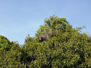 IMG_20180422_151121.jpg