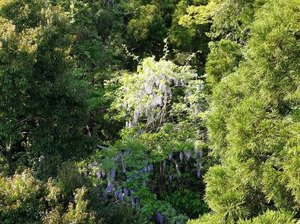 IMG_20180422_150846.jpg