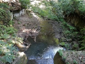 IMG_20180422_152410.jpg