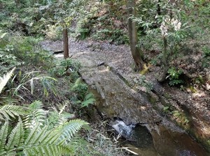 IMG_20180422_152559.jpg
