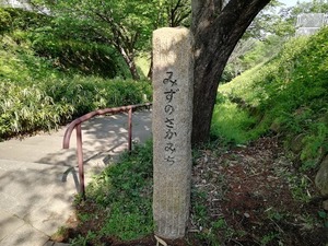 IMG_20180422_144948.jpg